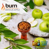 Табак Burn Famous Apple (Яблоко) 100г Акцизный Табак Burn Famous Apple (Яблоко) 100г Акцизный